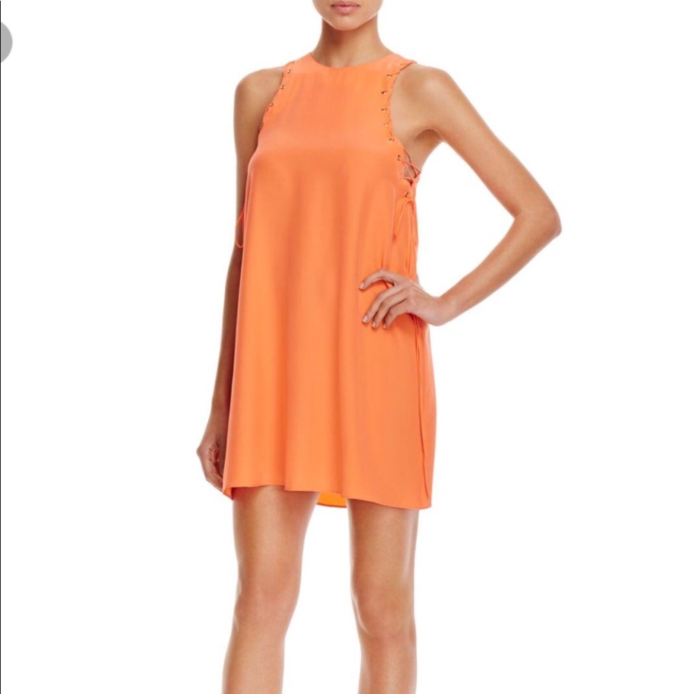 NWT Amanda Uprichard allegra dress